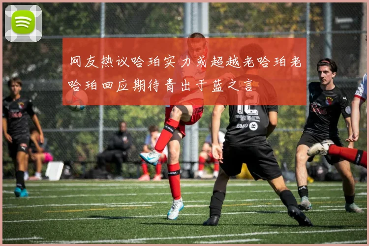 网友热议哈珀实力或超越老哈珀老哈珀回应期待青出于蓝之言