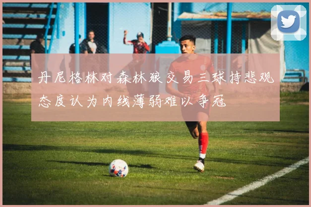 丹尼格林对森林狼交易三球持悲观态度认为内线薄弱难以争冠